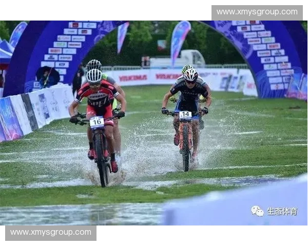 基于体育竞技成绩与综合表现的全新排名系统设计与分析